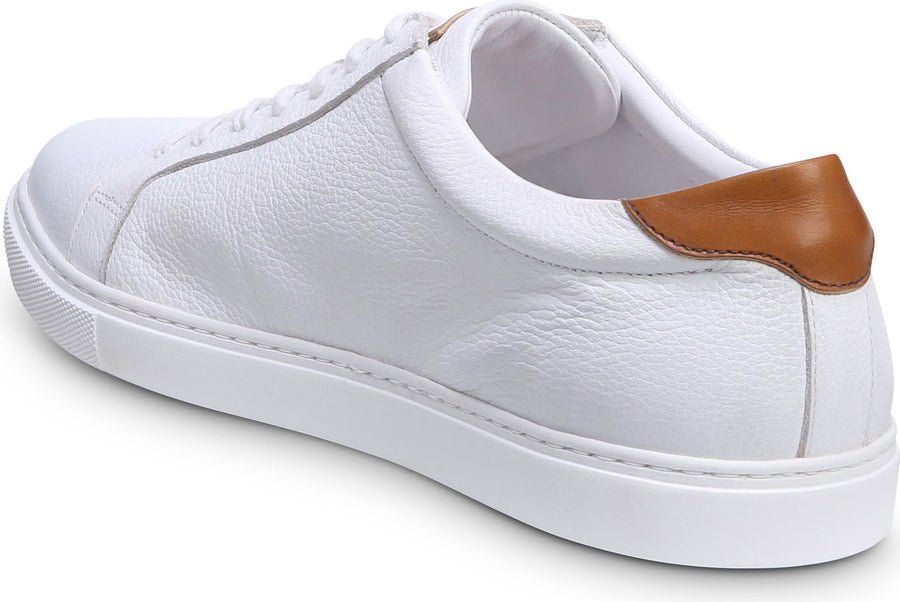 Allen Edmonds Courtside Sneaker - Men's