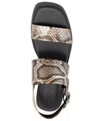 Aerosoles Women's Dove Low Heeled Square Toe Dress Sandals