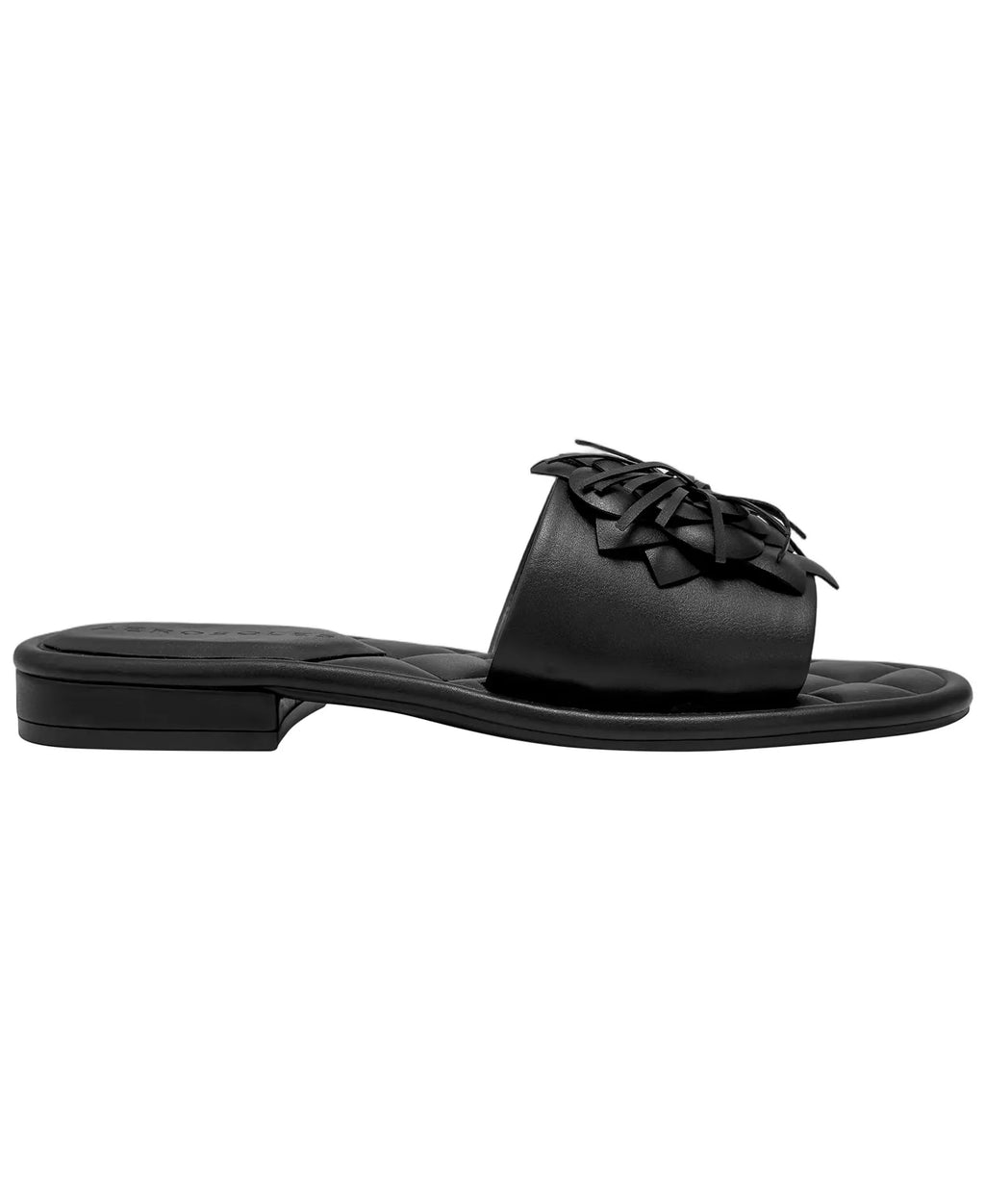 Aerosoles Women's Begonia Round Toe Flat Sandals