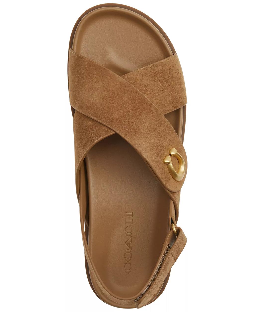 Coach Women's Sculpted C Criss Cross Round Toe Sandals