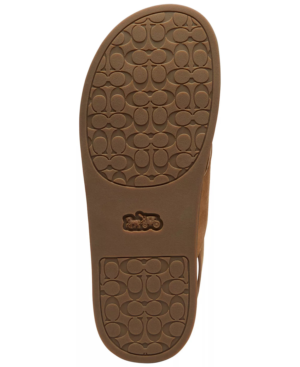 Coach Women's Sculpted C Criss Cross Round Toe Sandals