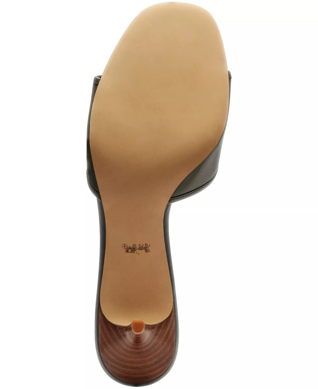 Coach Women's Margot Oversized Buckle Slip-On Sandals