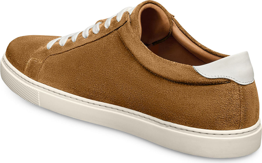 Allen Edmonds Courtside Sneaker - Men's