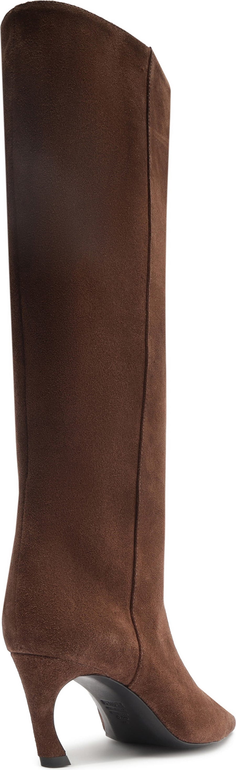 Schutz Lexi Pointed Toe Knee HIgh Boot - Women's