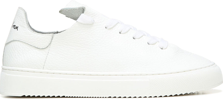 Sam Edelman Poppy Sneaker - Women's