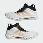 Men's Adidas Crazyflight 7 Shoes
