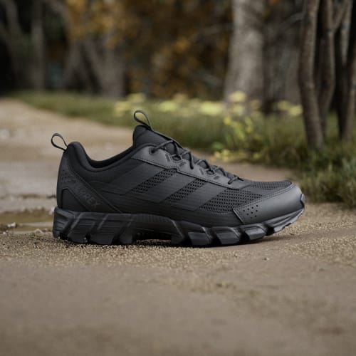 Men's Adidas Terrex Rockadia Hiking Shoe