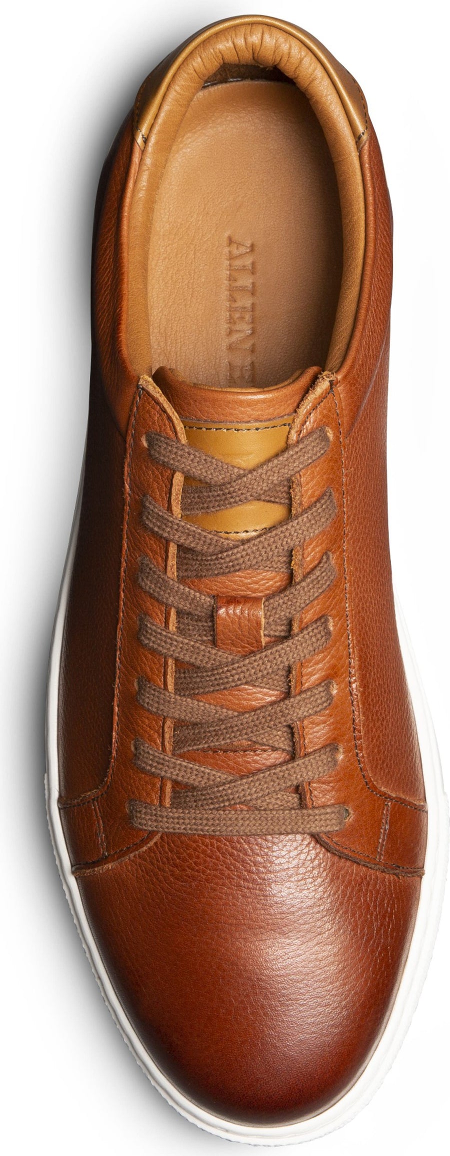 Allen Edmonds Courtside Sneaker - Men's