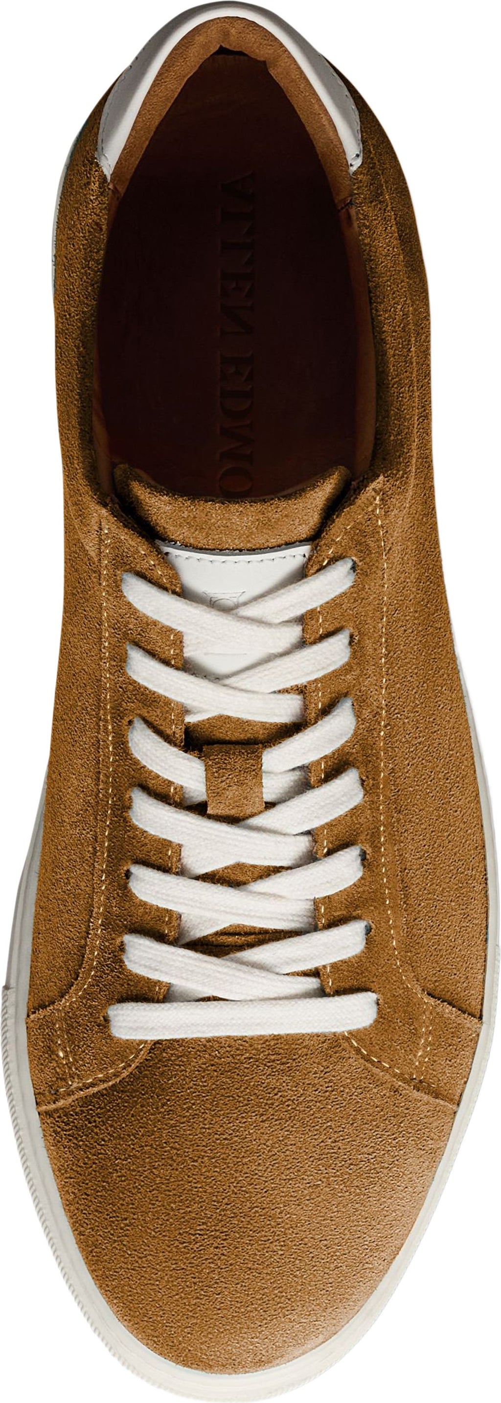 Allen Edmonds Courtside Sneaker - Men's