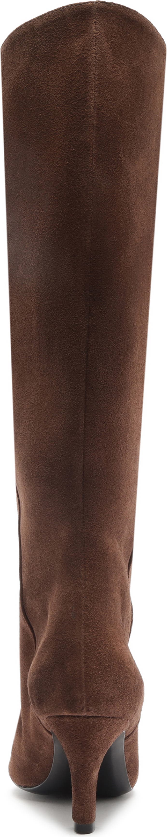Schutz Lexi Pointed Toe Knee HIgh Boot - Women's