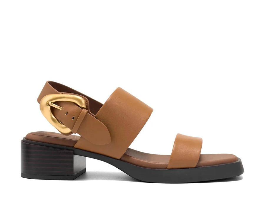 Aerosoles Dantay Sandal