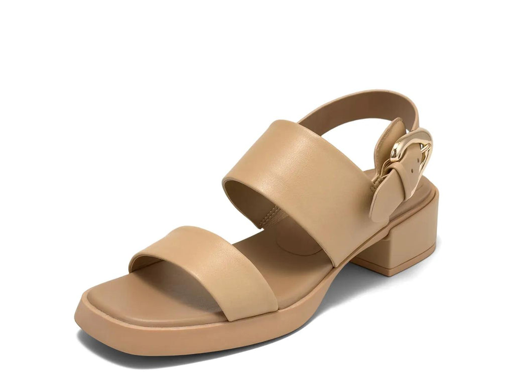 Aerosoles Dantay Sandal