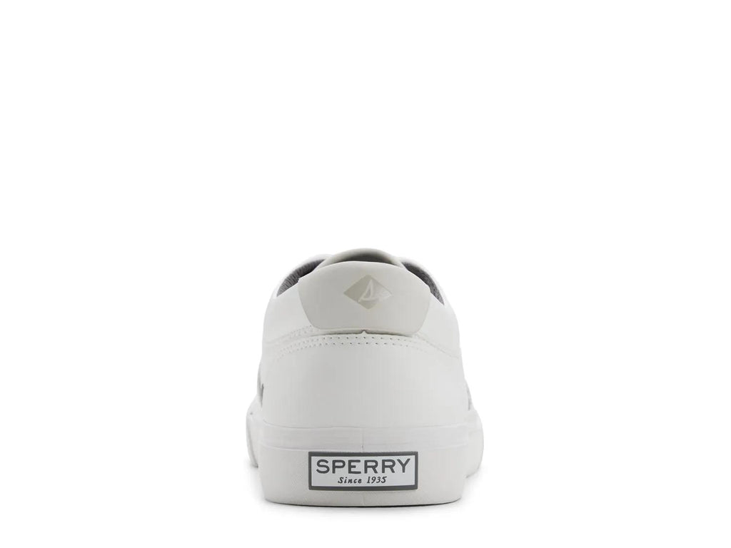 Sperry CVO Sneaker - Men's