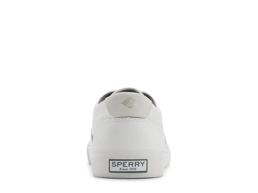Sperry CVO Sneaker - Men's