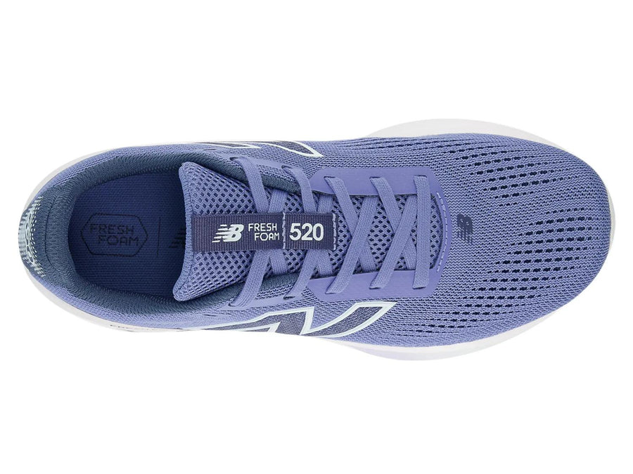 New Balance Fresh Foam 520 v9 Running Shoe - Women's