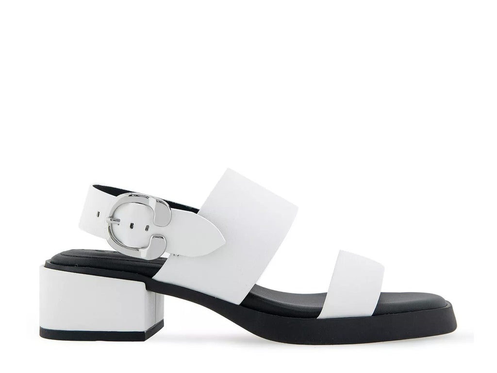 Aerosoles Dove Sandal