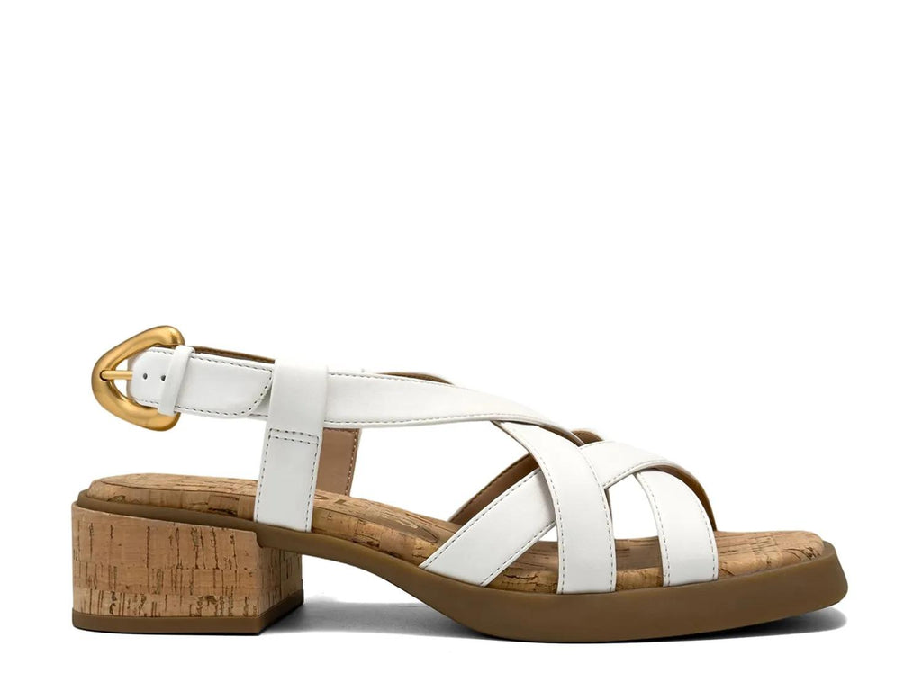 Aerosoles Daily Low Heeled Sandal