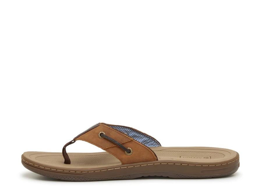 Sperry Baitfish Sandal