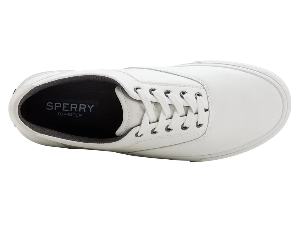 Sperry CVO Sneaker - Men's